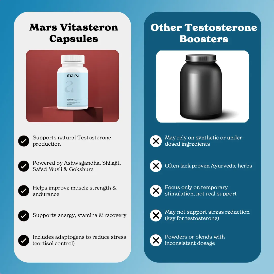 VitaSteron : Powered for Testosterone Levels, Muscle Gains & Overall Male Vitality - Image 11